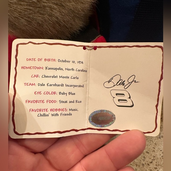 Boyds Racing Family Dale Earnhardt Jr #8 NASCAR Teddy Bear 10” With Tag - Picture 6 of 16